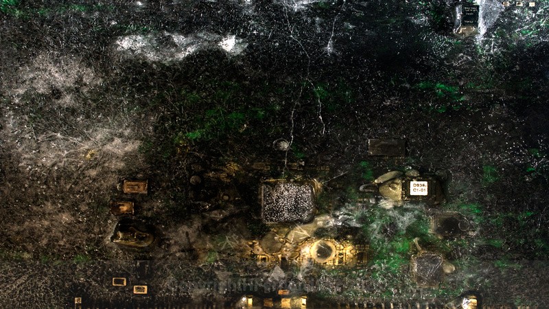 EXCHANGE Xlll - EXCHANGE 2021