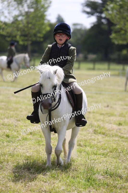 20260614-0707 - Class 20 - Beginners Working Hunter Pony