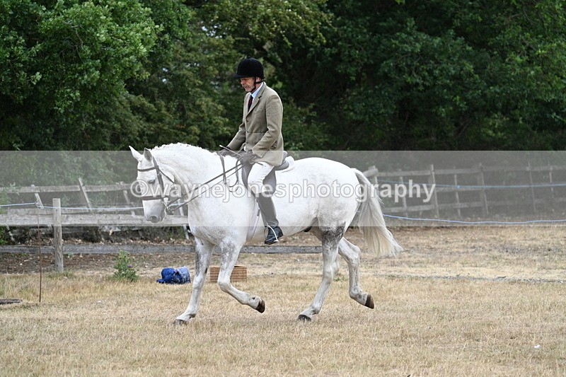 WJ7_0899 - Class 7 Riding Club Show Horse