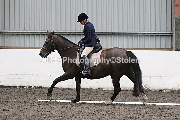 SIAL5123 - CAbin Dressage 5th july 2025