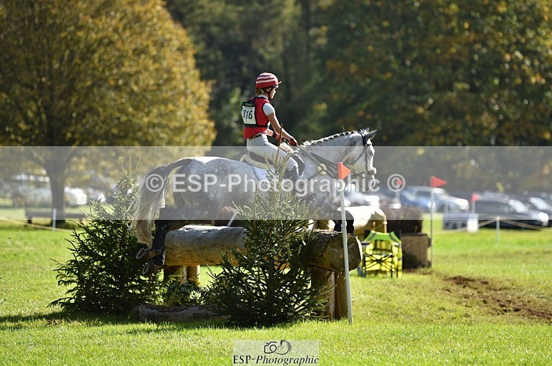 231022-125648-28823 - 316-I.ELLIE.JAY.BUMBLE-Henrietta.Ewell-XC