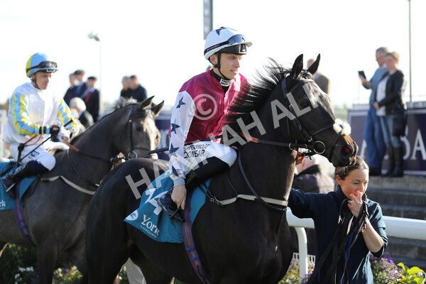 yr08102022r5-10 - Race 5 3.50pm The Coral Committed To Safer Gambling EBFStallions.com Maiden Stakes