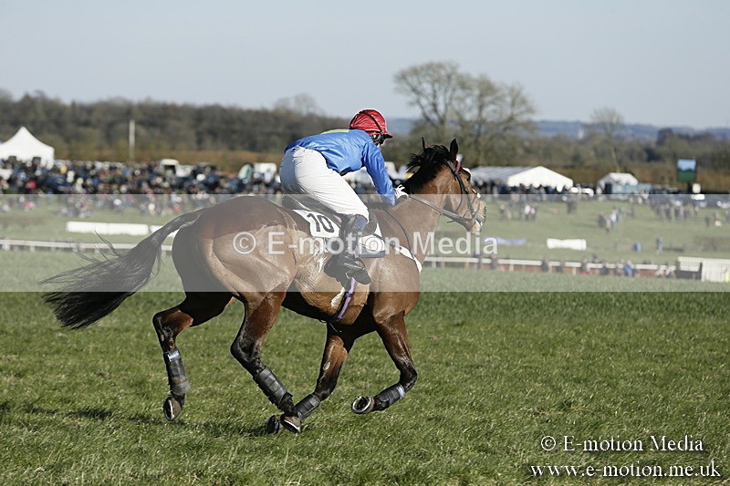 PtP 250317 493 - V.W.H. Hunt Point-to-Point Siddington 25/03/17