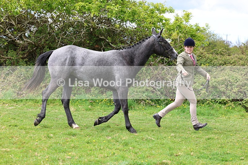 3E7A0493 - Class 20: Sports Horse