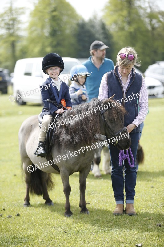 20260426-1921 - Class 7 - Pony Judge Would Most Like To Take Home