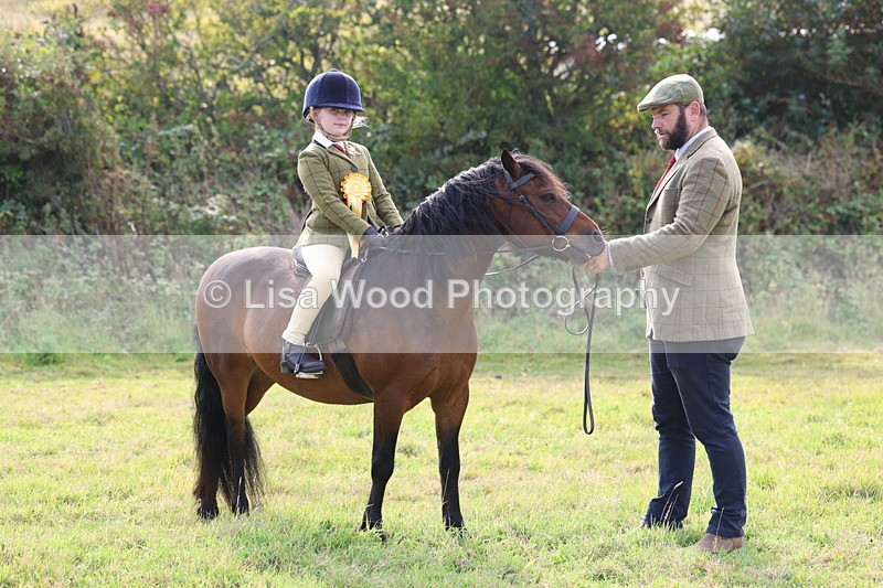 3E7A3771 - Class 2: Lead rein