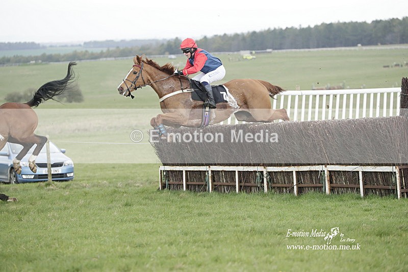 PtP 260323 0583 - New Forest Hounds Point-to-Point Larkhill 26/03/23