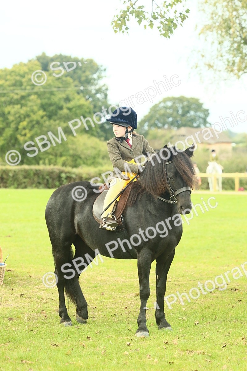 SBM_70051 - S59 - Mountain & Moorland Ridden Small Breeds