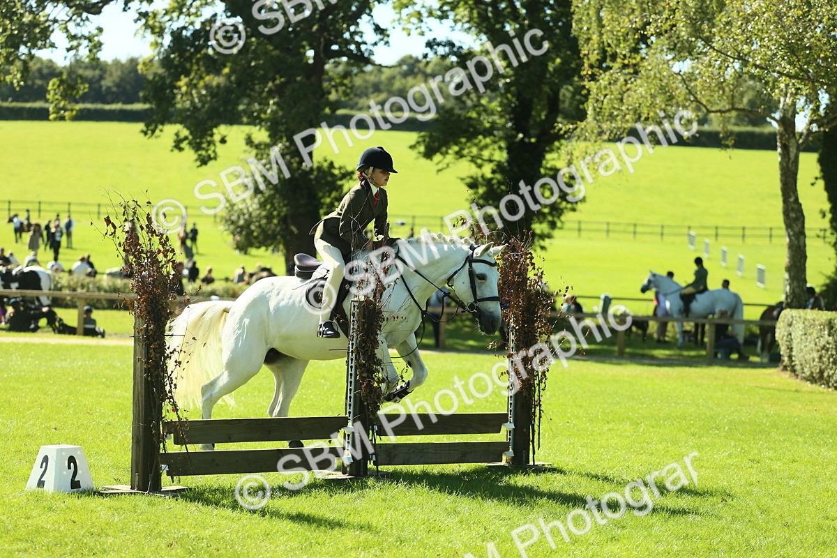 SBM_39124 - S29 - Novice & Newcomers Working Hunter Pony