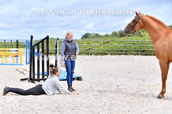 equiscot3575 - STALLION SELECTION