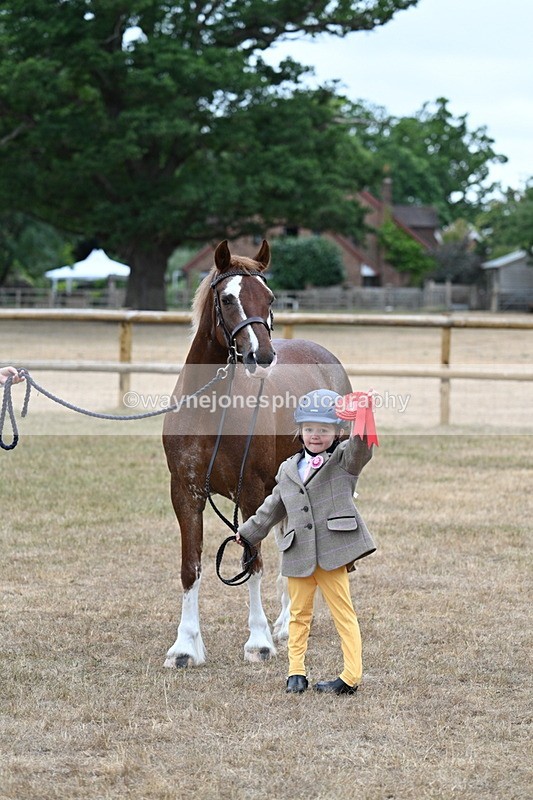 WJ7_8581 - Class 4 Prettiest Mare up to 14.2hh