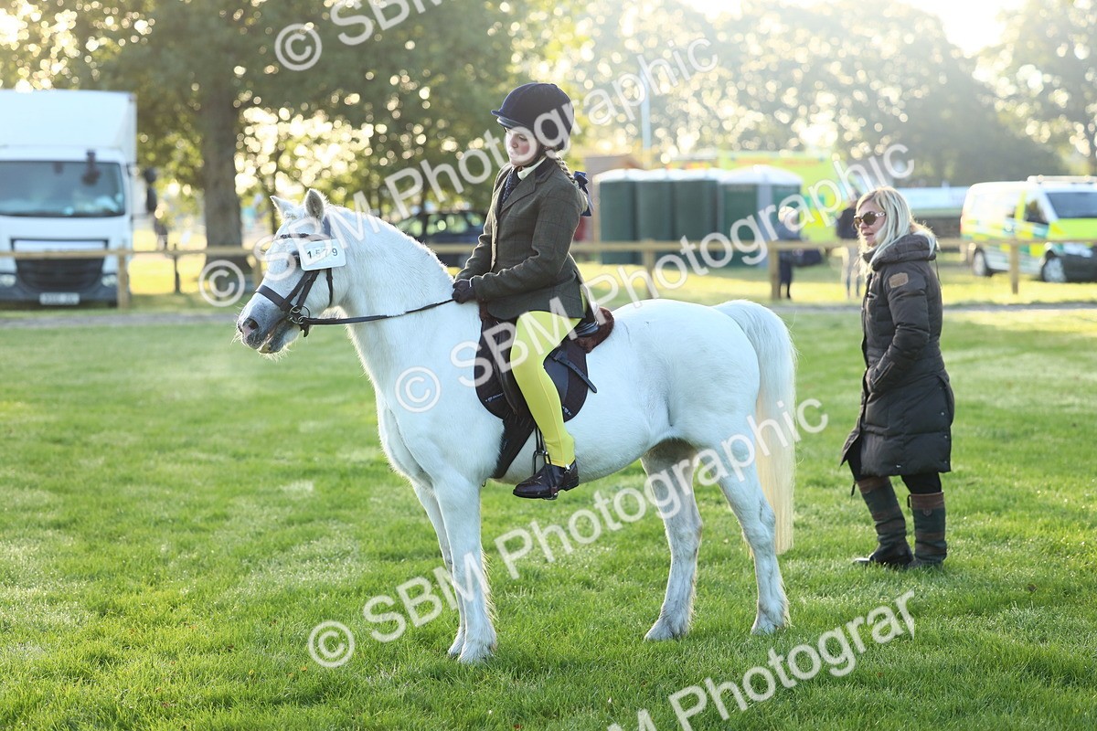 SBM_31760 - S28 - Nursery Stakes Working Hunter Pony