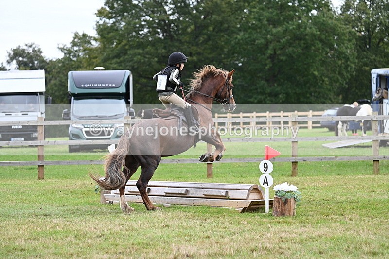 WJ7_7503 - 40cm Time 10:27 to 10:47