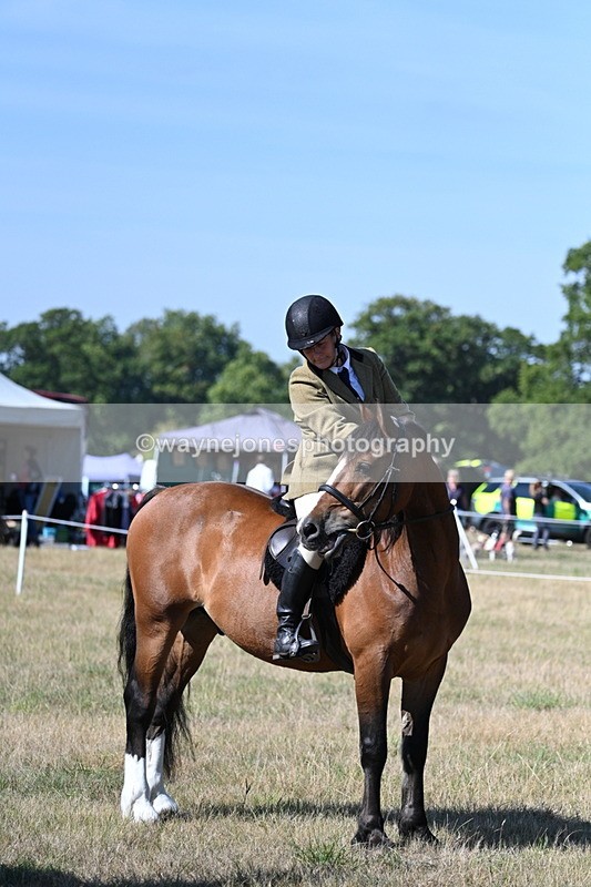WJ7_3703 - Class 9 Mountain & Moorland Ridden