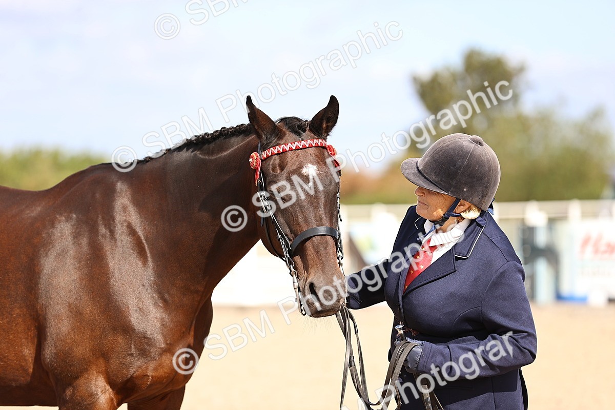 SBM_11526 - Class 407 - IH Hack-Riding Horse