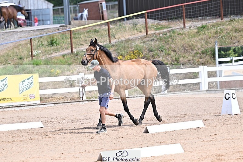 250716-124236-00132 - Trot Up 12.30 to 1.30