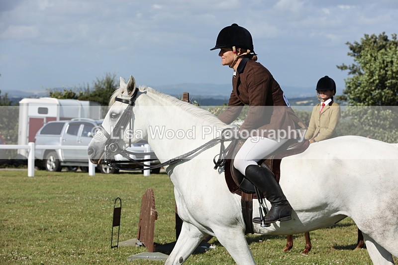 JPP_3036 - Class 20: Working Hunter 70cm