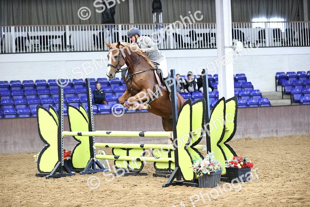 SBM_005207 - Class 17 - Equiyd Ruby Bluechip Qualifier