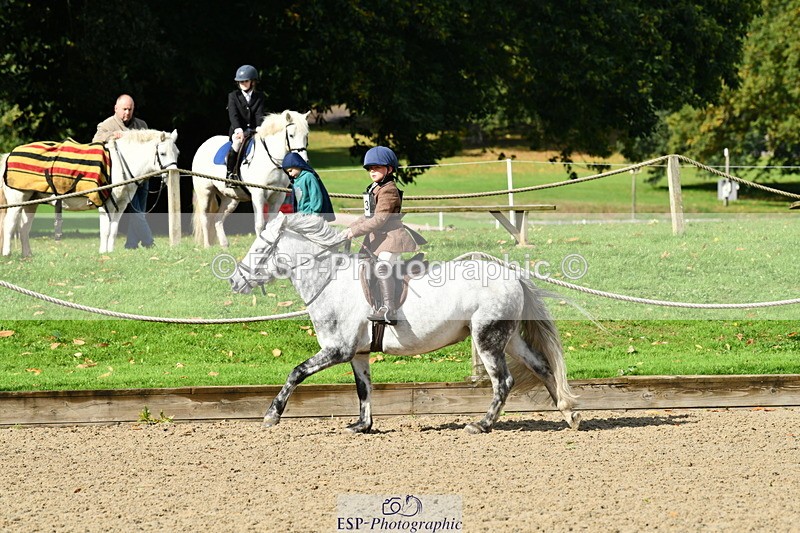 251004A-120557-00889 - Classes 4 & 5 50cm