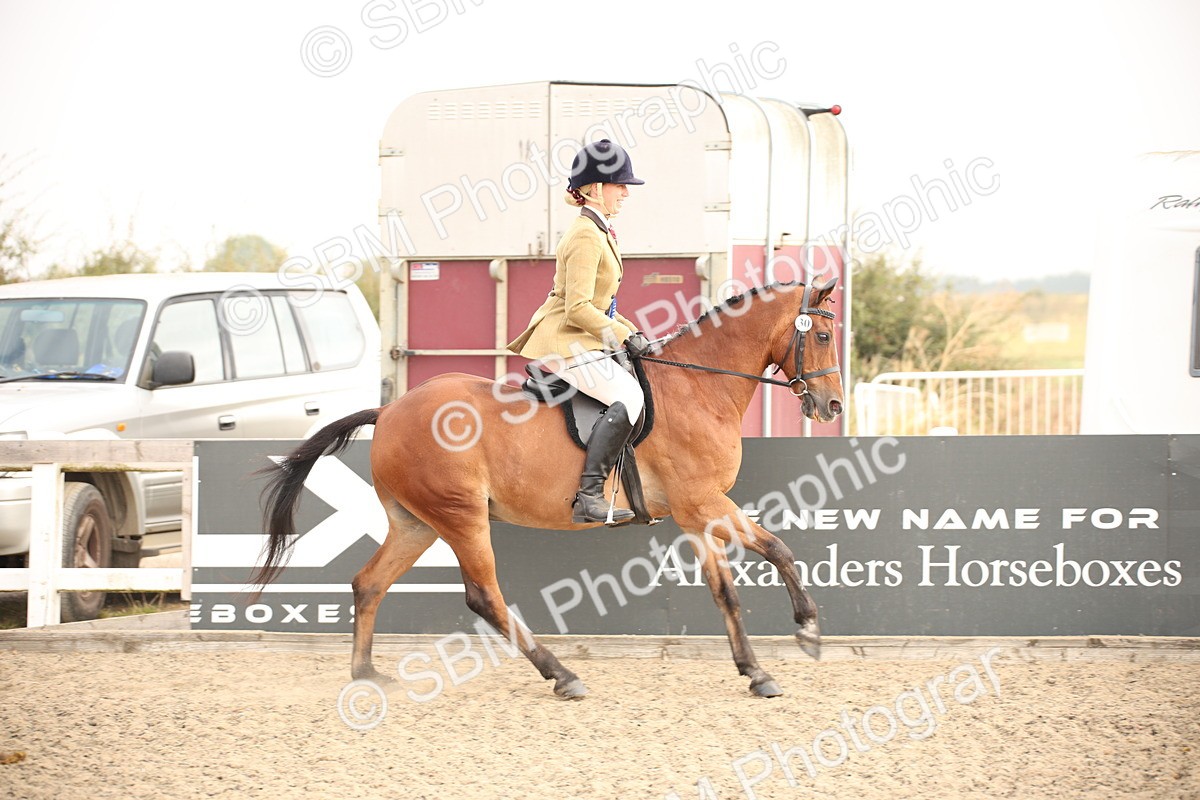 SBM_09832 - Class 401 Riding Club Pony