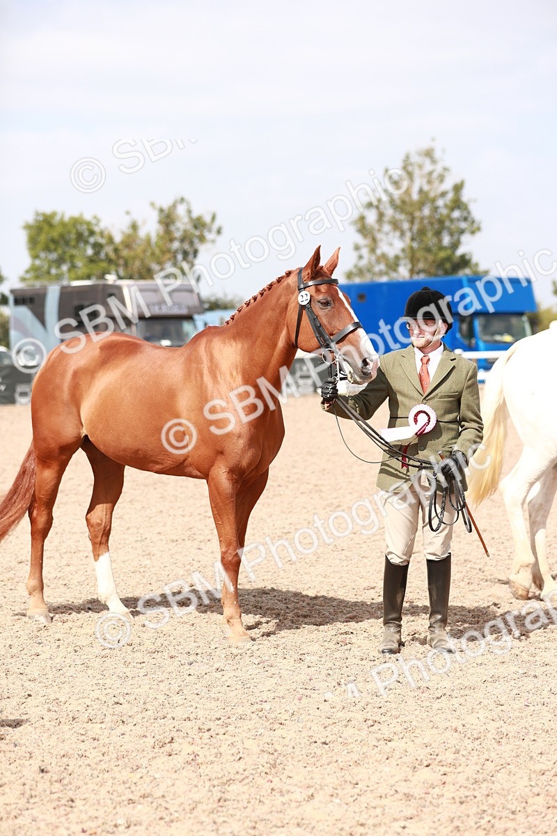 SBM_13304 - Class 208 IH Veteran Horse