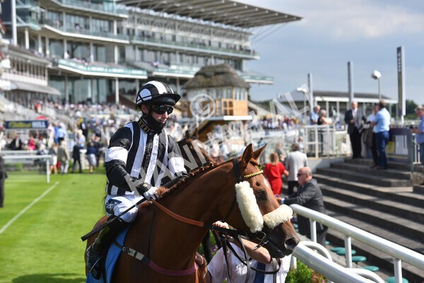 yr09072021r5-33 - Race 5: 4.20pm Garbutt + Elliott Stakes