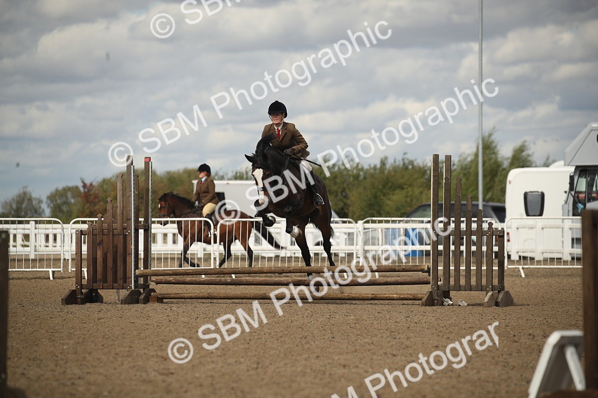 SBM_14505 - Class 505a - M&M Working Veteran - 50cm (15-19)