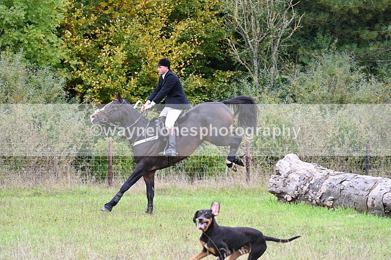 WJ7_3598 - Camera 1 Line 1