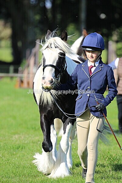 SIAL5586 - Ring 1 & 3