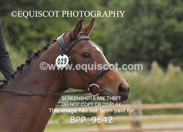 BPP_9642 - INTRO 1 & 2