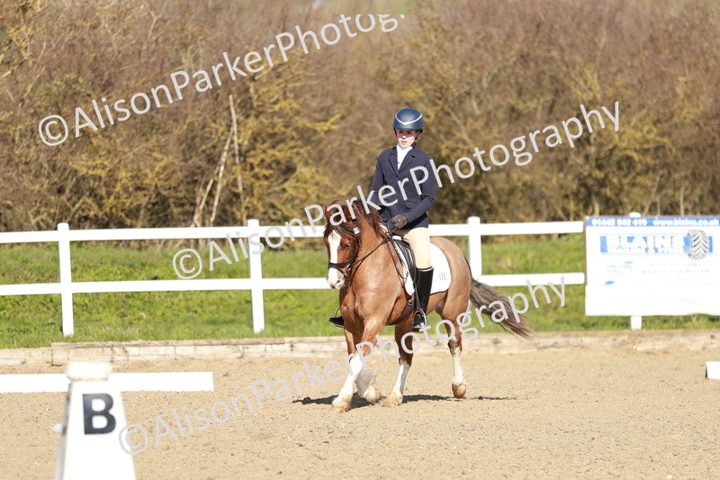 20260314-4287 - DR4 - Prelim 2