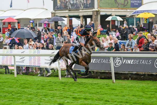 080924-Pony Race-8489 - Pony Race 1.00pm The Dragon (TV and Film) Studios Pony Race 148cm & Under