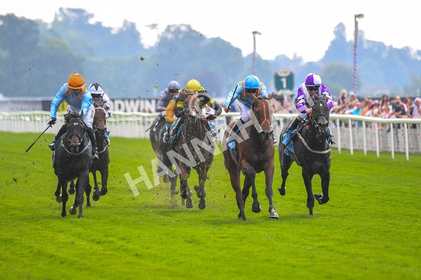 100923-Race 1-The Coffee Pod-0376 - Race 1 1.40pm Ire Incentive, It Pays To Buy Irish EBF Novice Stakes