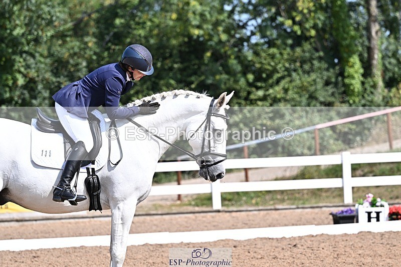 250816-111409-03694 - 135-Clare.BrownTommie.Too