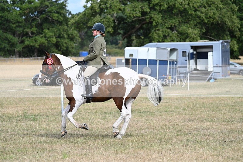 WJ7_7794 - Ridden Championship