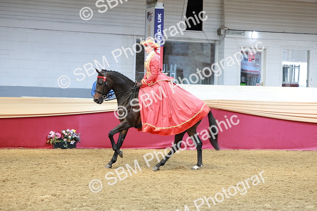 SBM_14781 - Class 107 - Ridden Costume - Astride Adult  (20+)