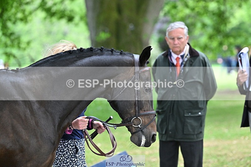 250521A-152754-00527 - B-314-Katey.Cuthbertson-INCOGNITO.IV