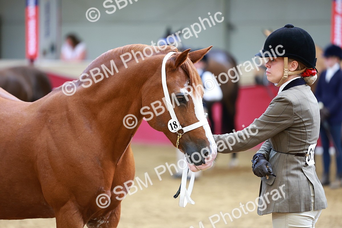 SBM_18691 - Class 903 - Sup Final - IH Pre Vet