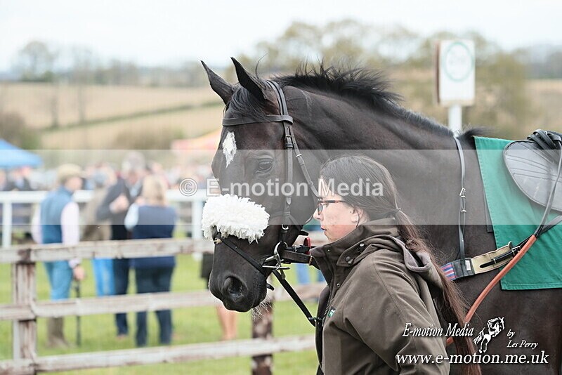 PtP 130425 210 - Edgecote Races 13/04/25