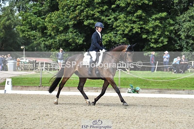 230812-104442-03459 - Cls 6 Novice Silver 10.30 to 11.55 break