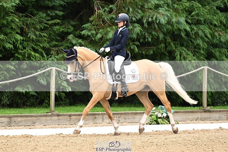 240811-122942-05850 - 301-Sophia.Longworth-Don.Deluxe