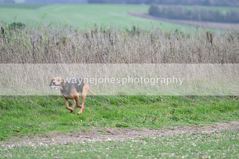 WJ7_2510 - Camera A