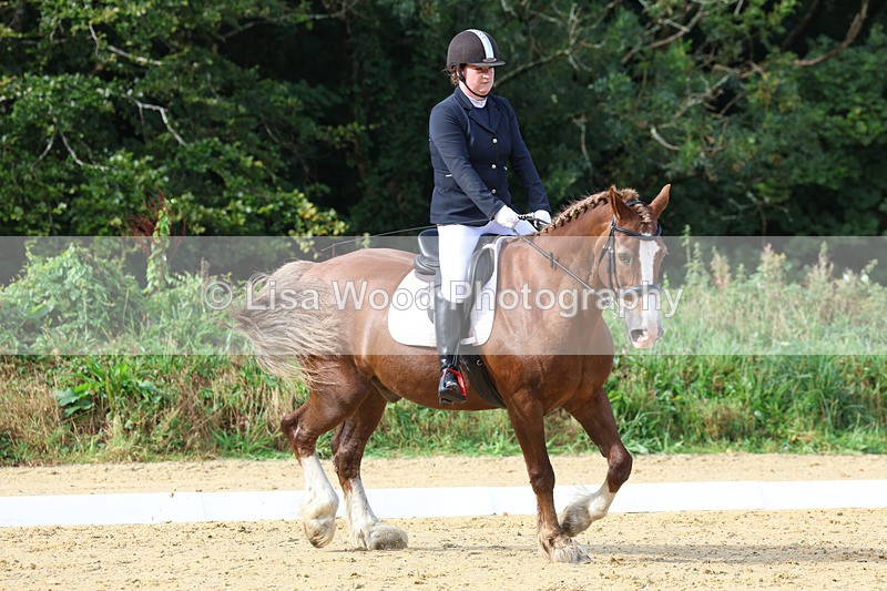 3E7A2264 - Class 1: Intro 4 2024 section A