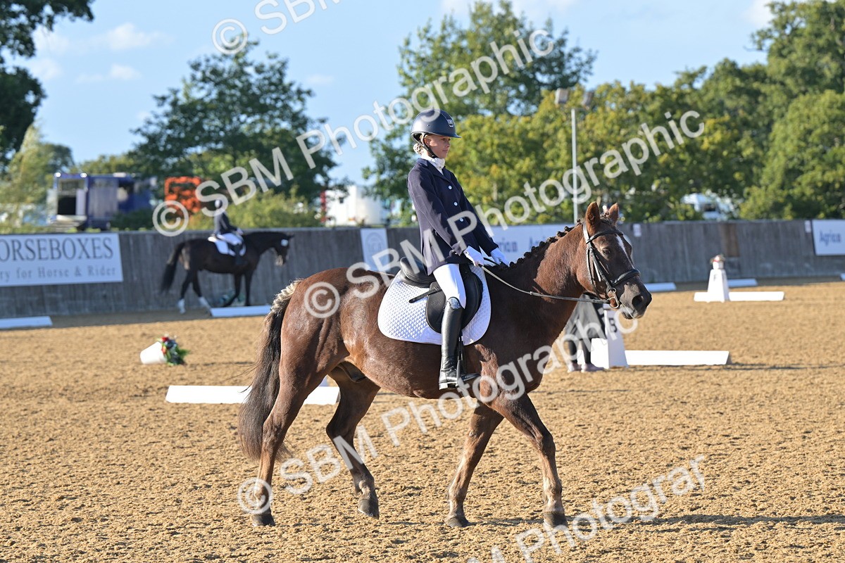 SBM_13079 - D3 - Small Tour Championship Intro 3