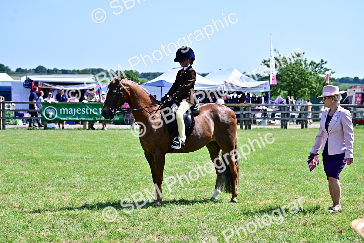 SBM_13938 - Class 95-97 - BSPS LHS Performance Ponies