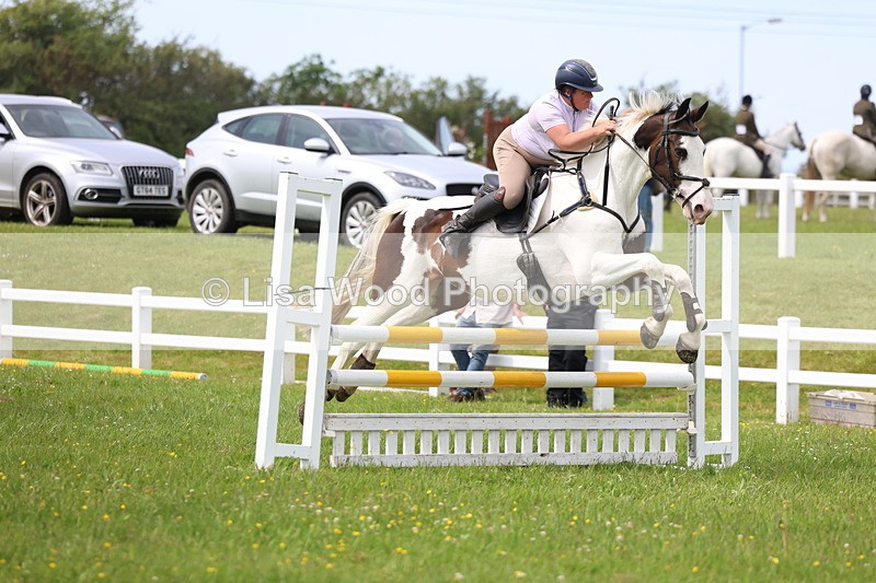 3E7A1849 - Class 13: Senior British Novice/90cm open