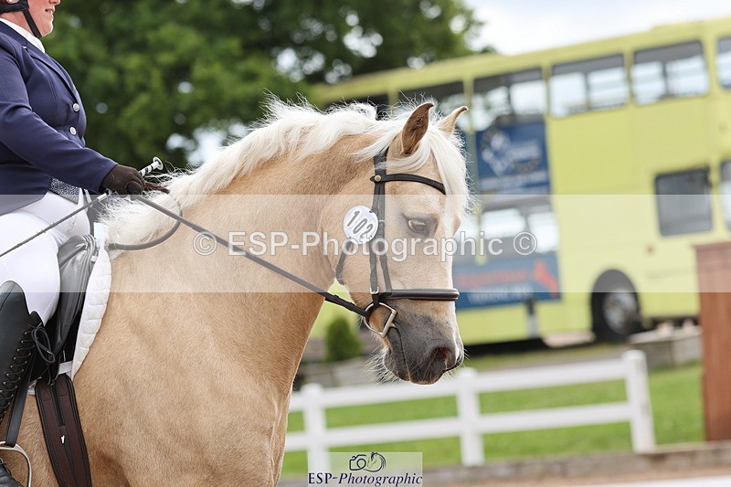 240622A-091809-07042 - Cls 24 BD Prelim 15