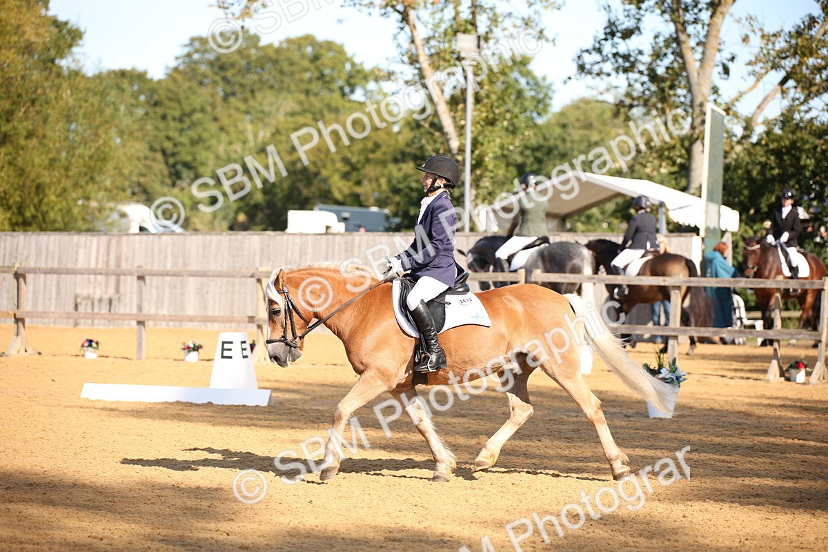 SBM_18381 - D31 - Grand Tour - PYO Open