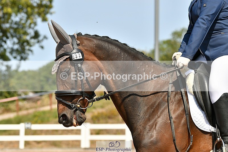 250817-133636-09997 - 033-Frankie.TorodeFirst.Impression.VI