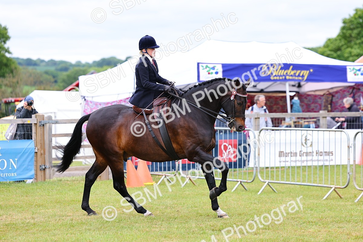 SBM_02934 - Class 9-11 Side Saddle including LIHS Rising Star Ladies Show Horse